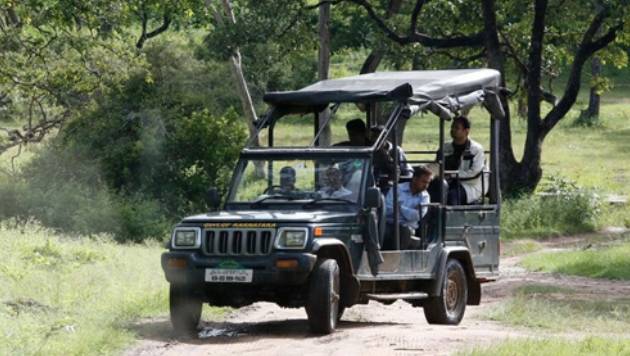 Jungle Jeep Safari